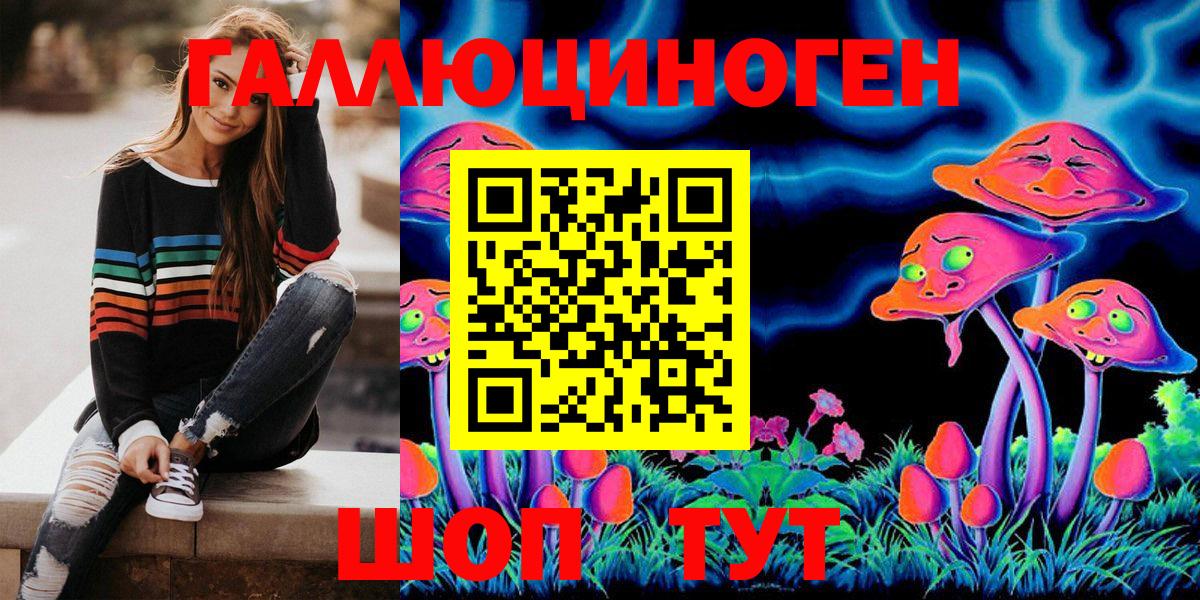 Моздок  Псилоцибиновые грибы мицелий  Вход с VPN 